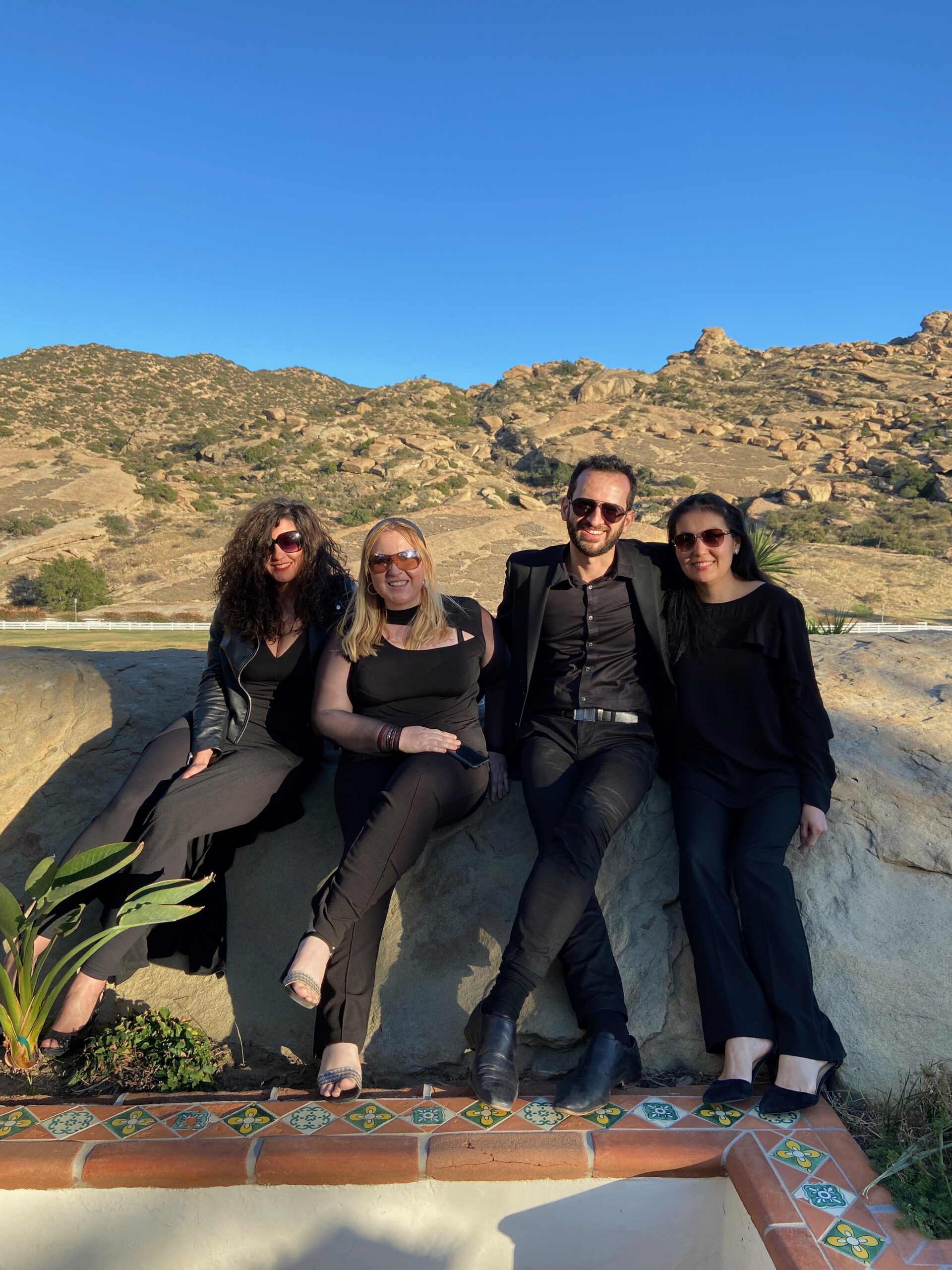 Elegance Quartet play for L Word Generation Q